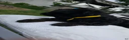 Yorkiepoo dogs for sale: Yorkiepoo 2 Yellow Collar - Ad 11