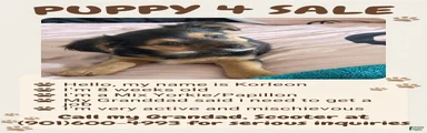 Mixed Breed 1