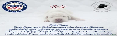 "Emily"