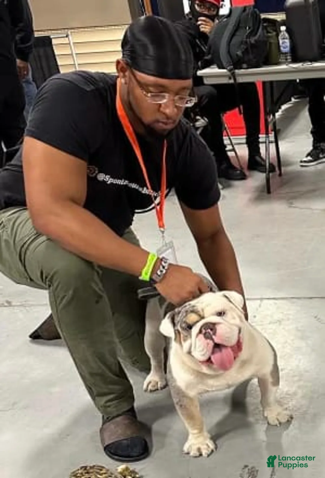 Gallery Image {{count}}