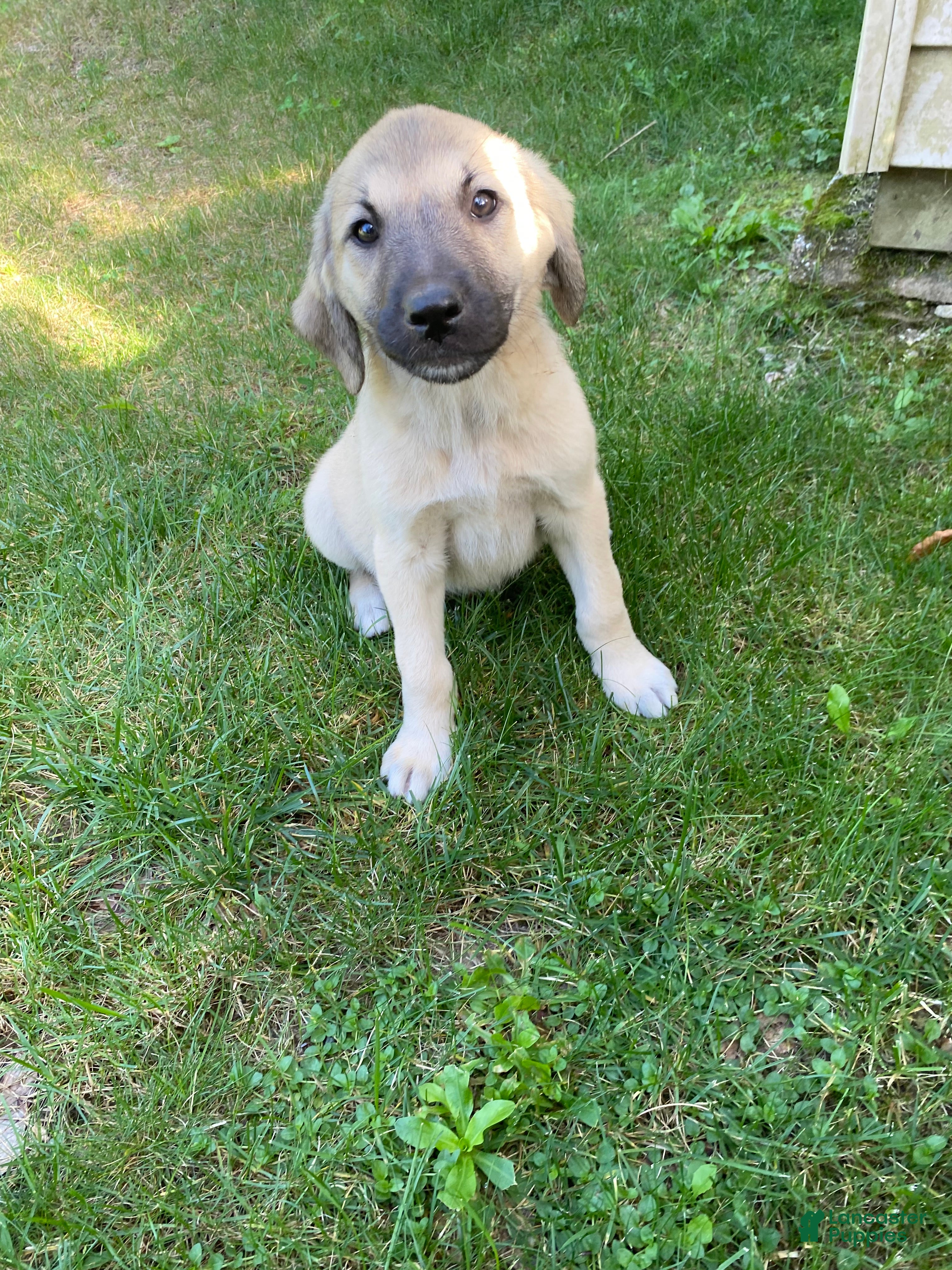Sally