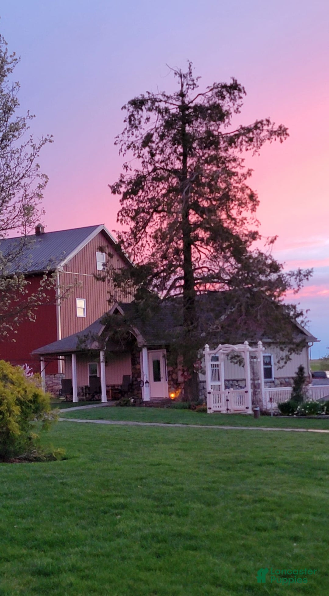 Gallery Image {{count}}