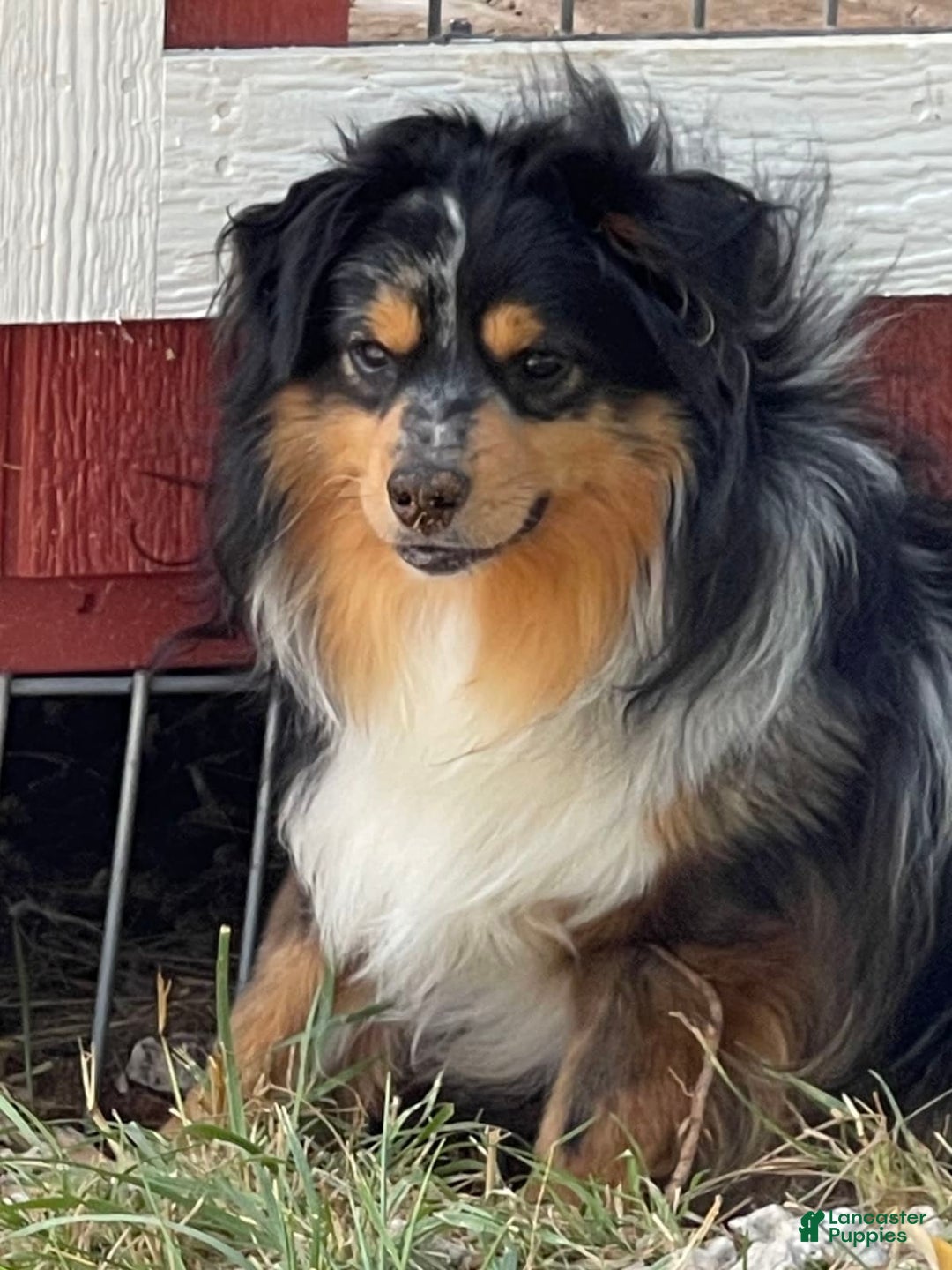 Gallery Image {{count}}