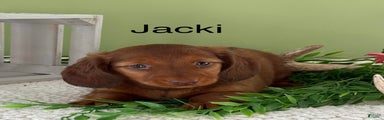 Jacki