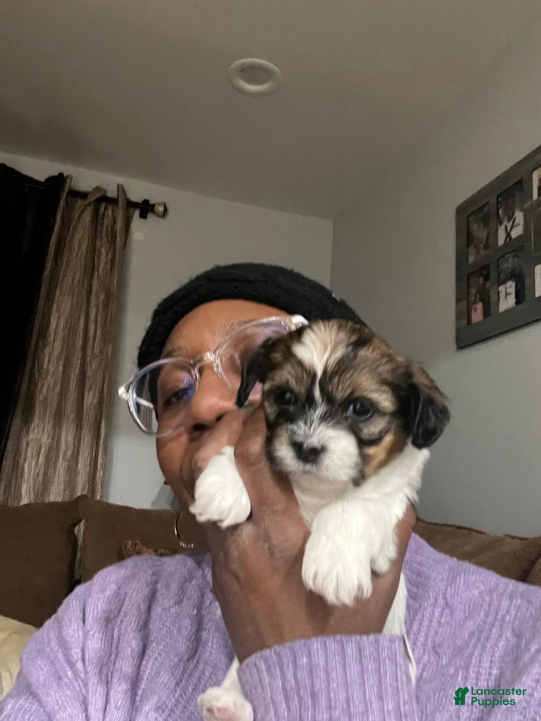 Gallery Image {{count}}