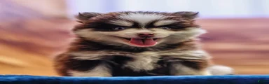 Twix