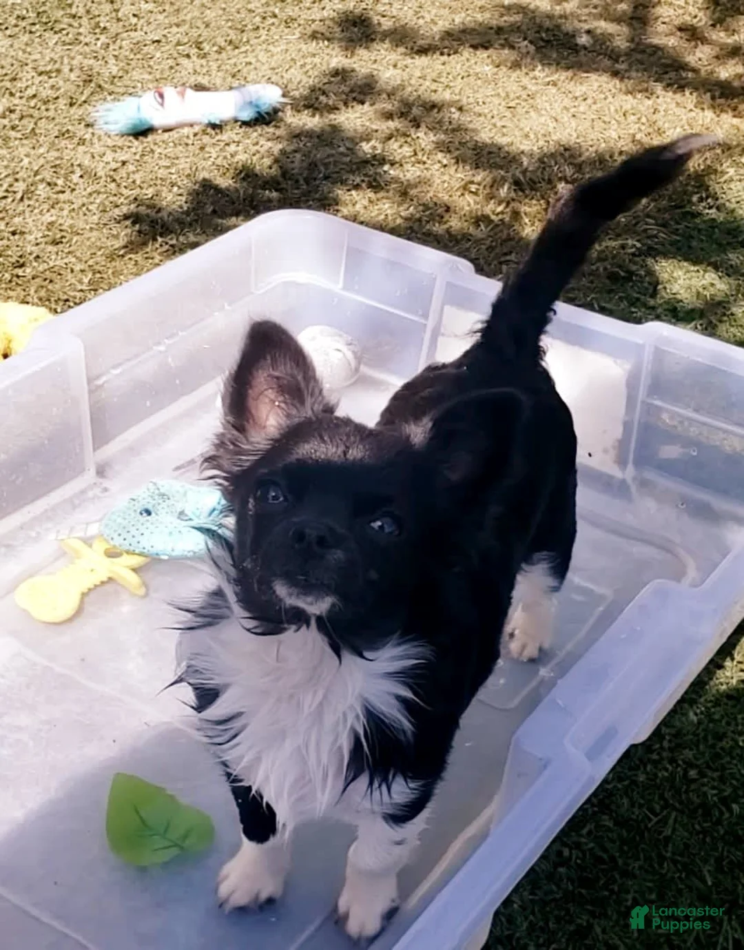 Gallery Image {{count}}