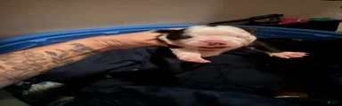 Boston Terrier 2