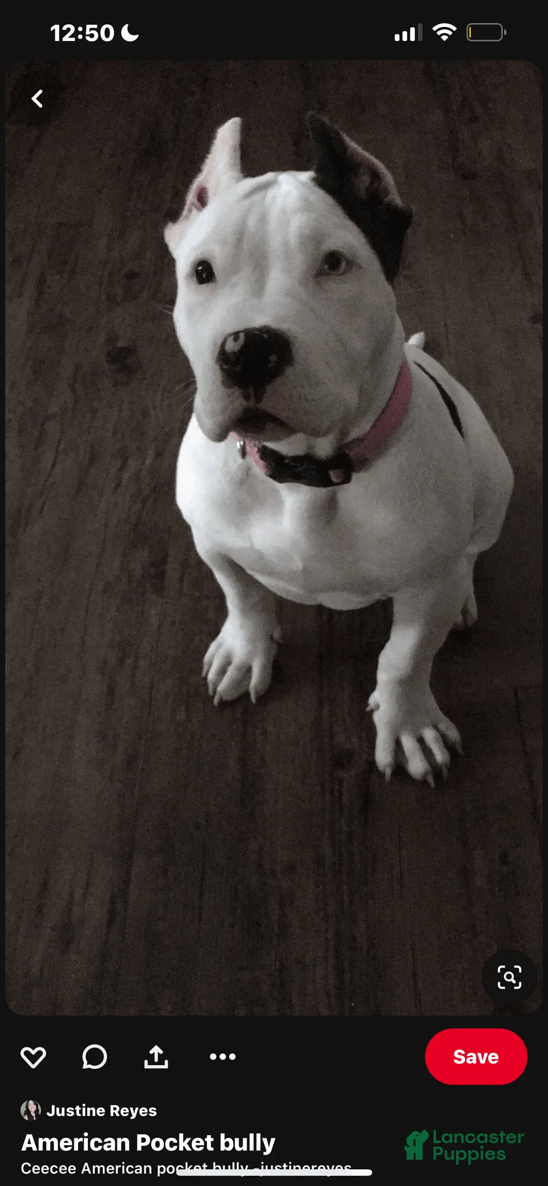 Gallery Image {{count}}