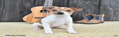 Buster