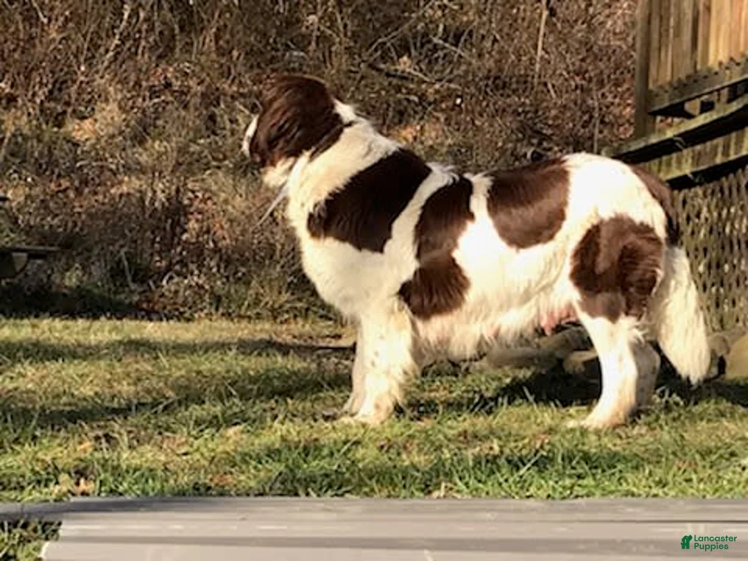 Gallery Image {{count}}