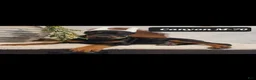 Doberman Pinscher dogs for sale: CANYON - Ad 1