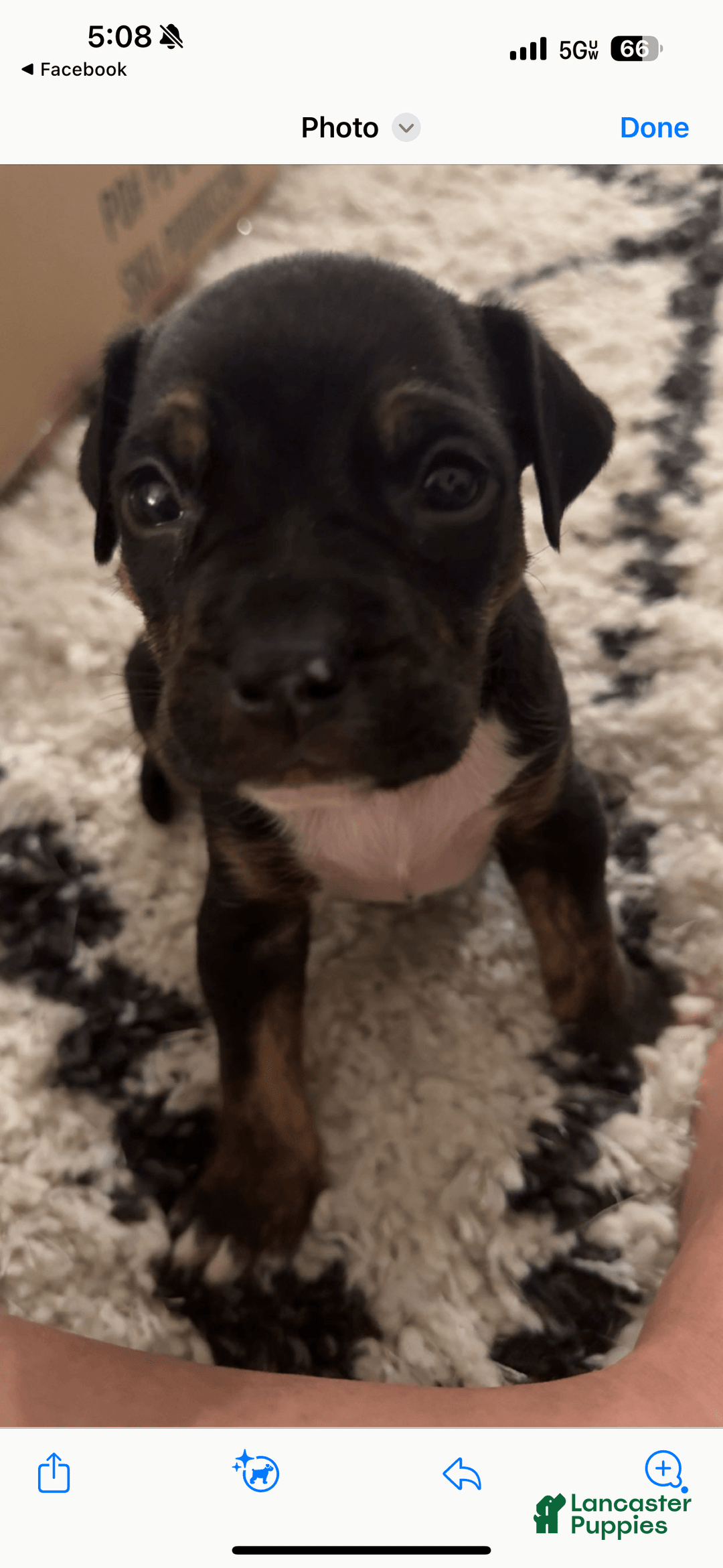 Gallery Image {{count}}