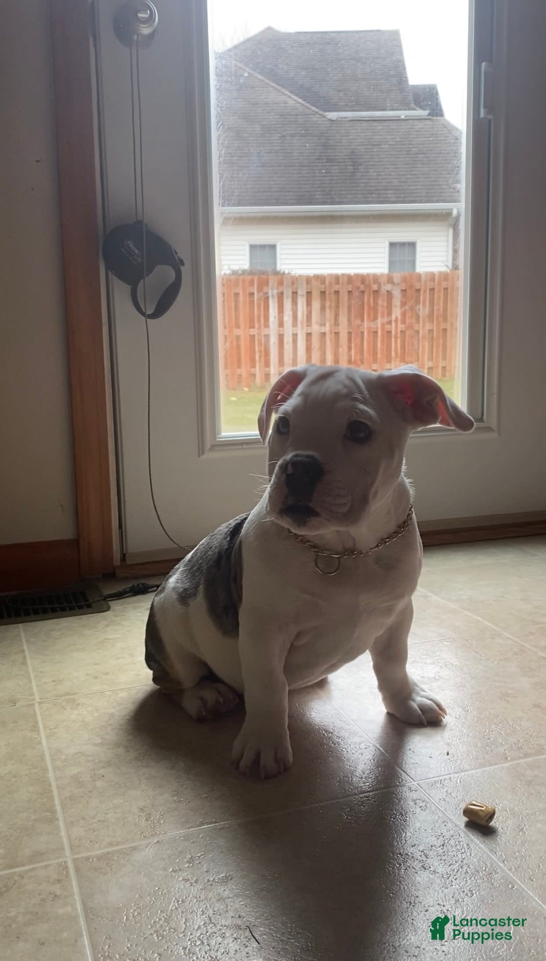 Gallery Image {{count}}