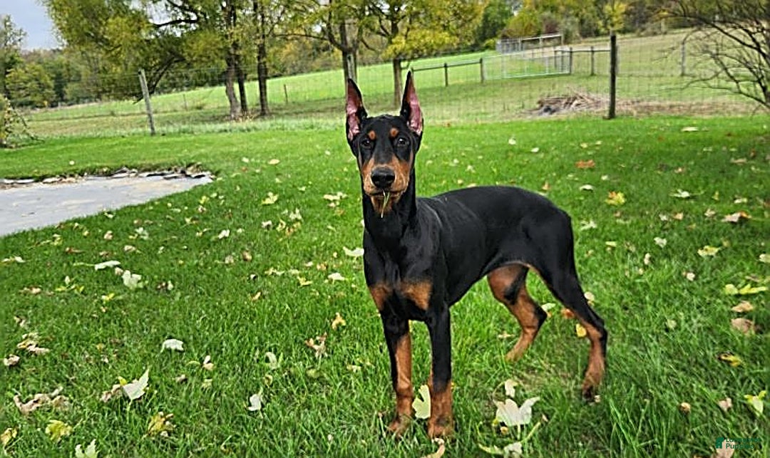 Gallery Image {{count}}