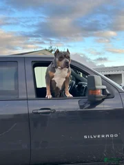Kiki