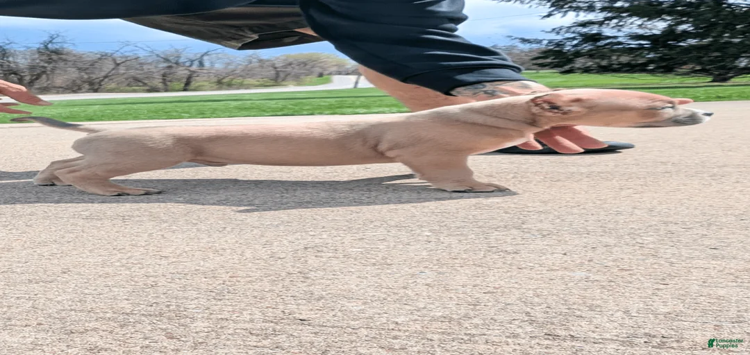 Gallery Image {{count}}