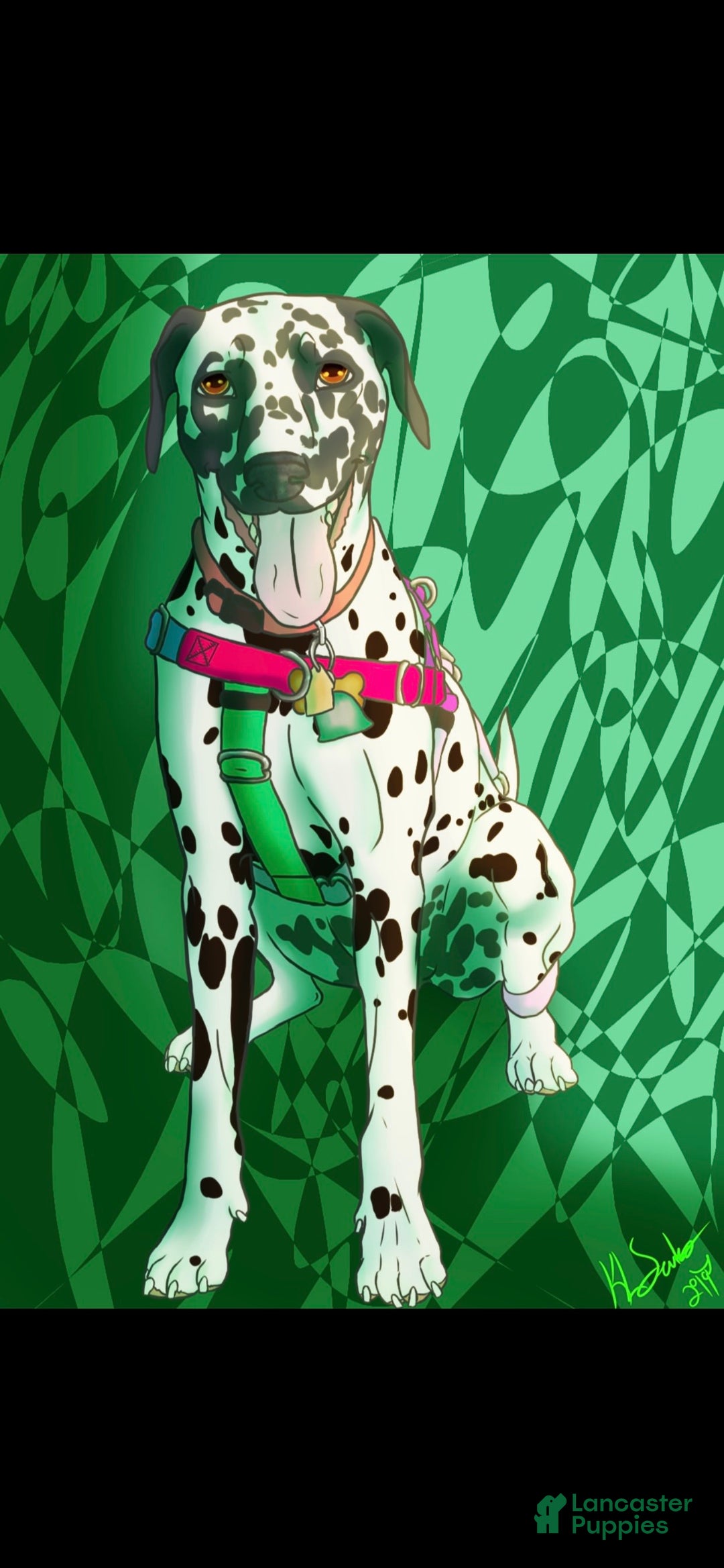 Gallery Image {{count}}