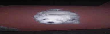 Shihpoo 1