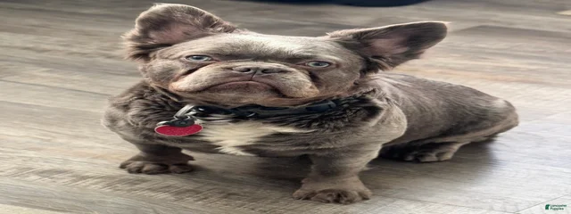 Latto 
