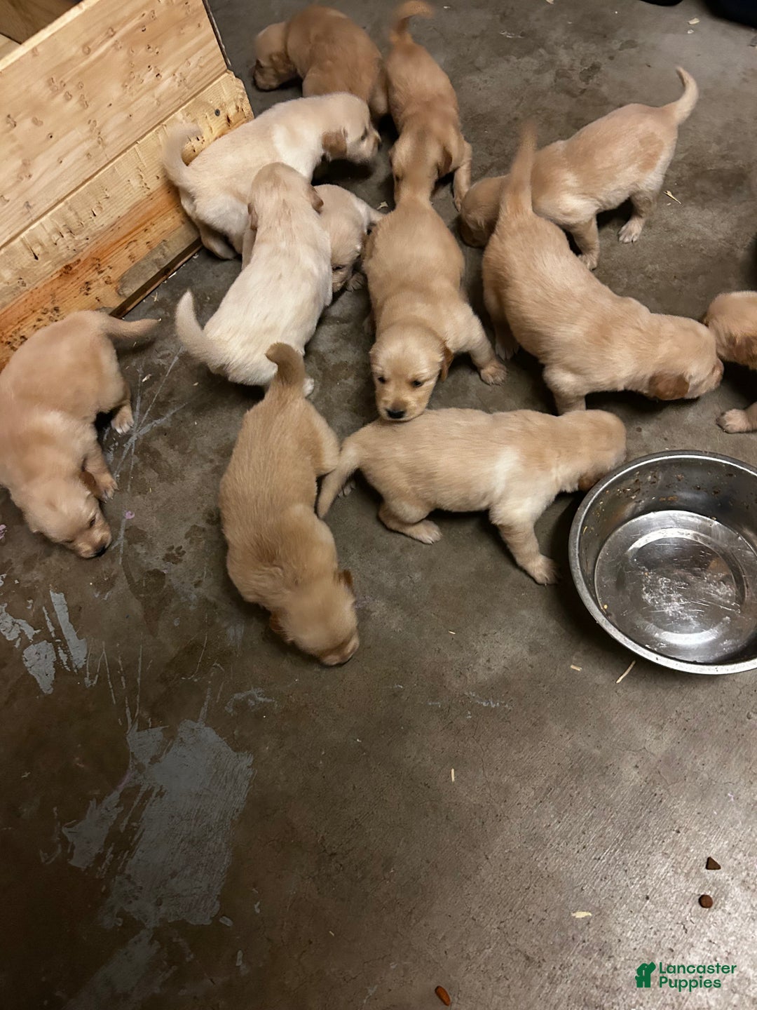 Gallery Image {{count}}