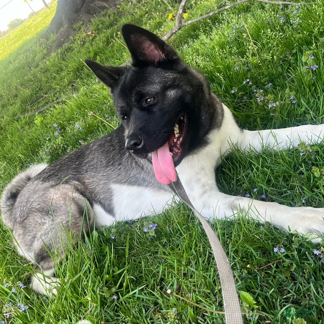 Gallery Image {{count}}