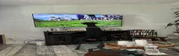 Doberman Pinscher dogs for sale: Stella - Ad 3