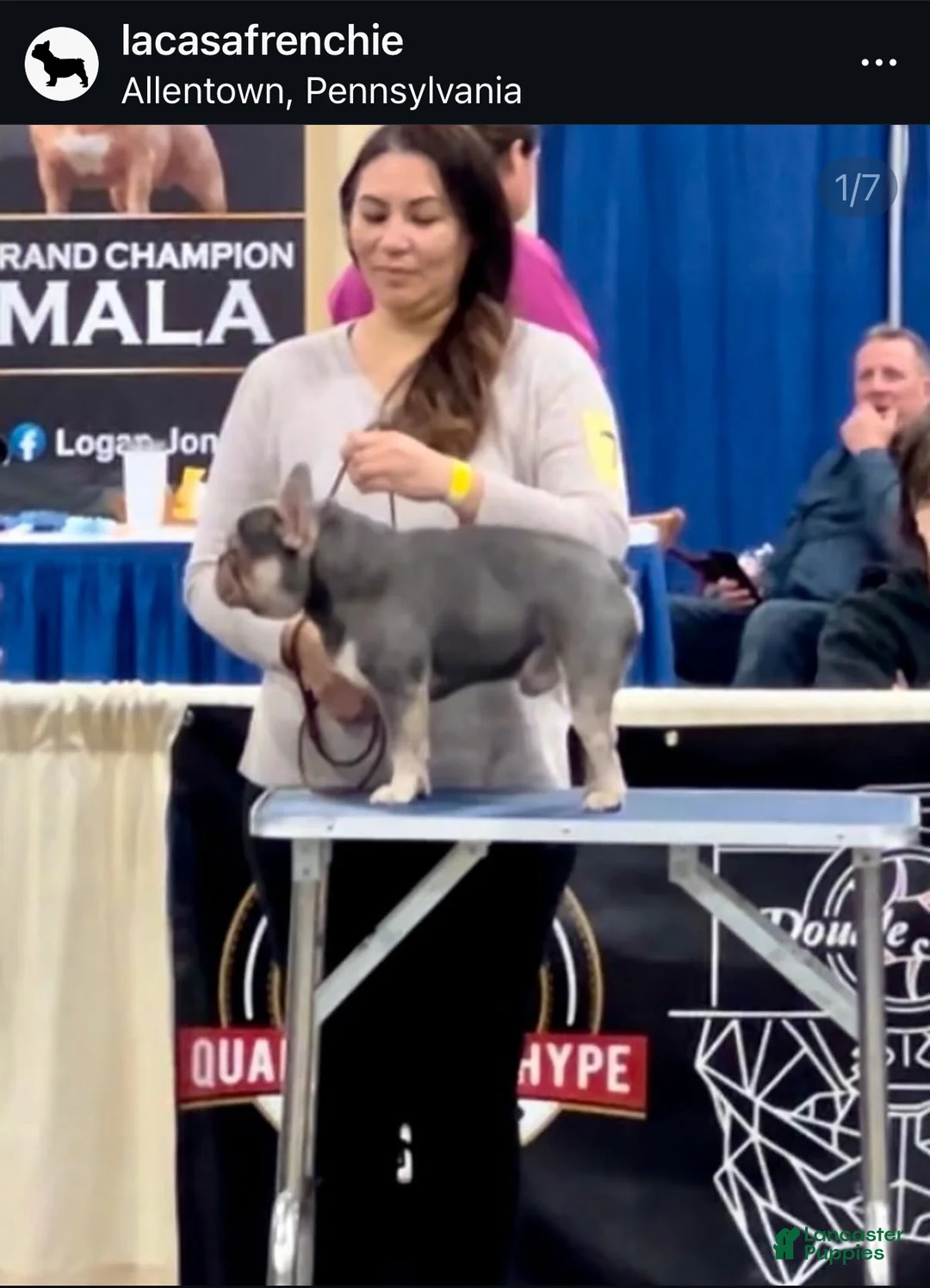 Gallery Image {{count}}