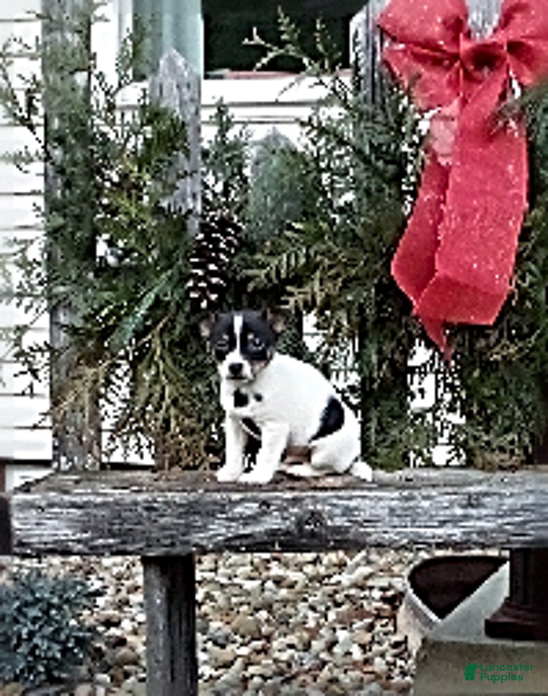 Gallery Image {{count}}