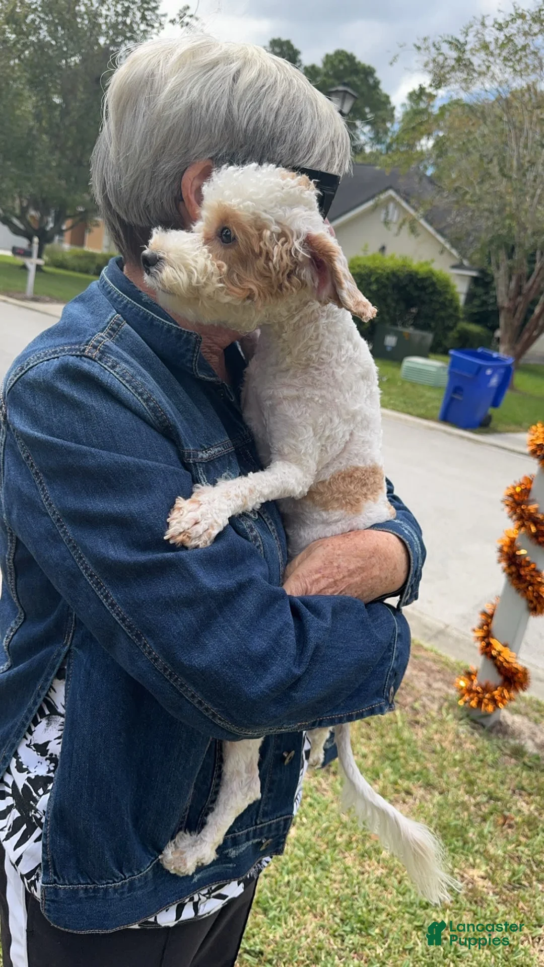 Gallery Image {{count}}