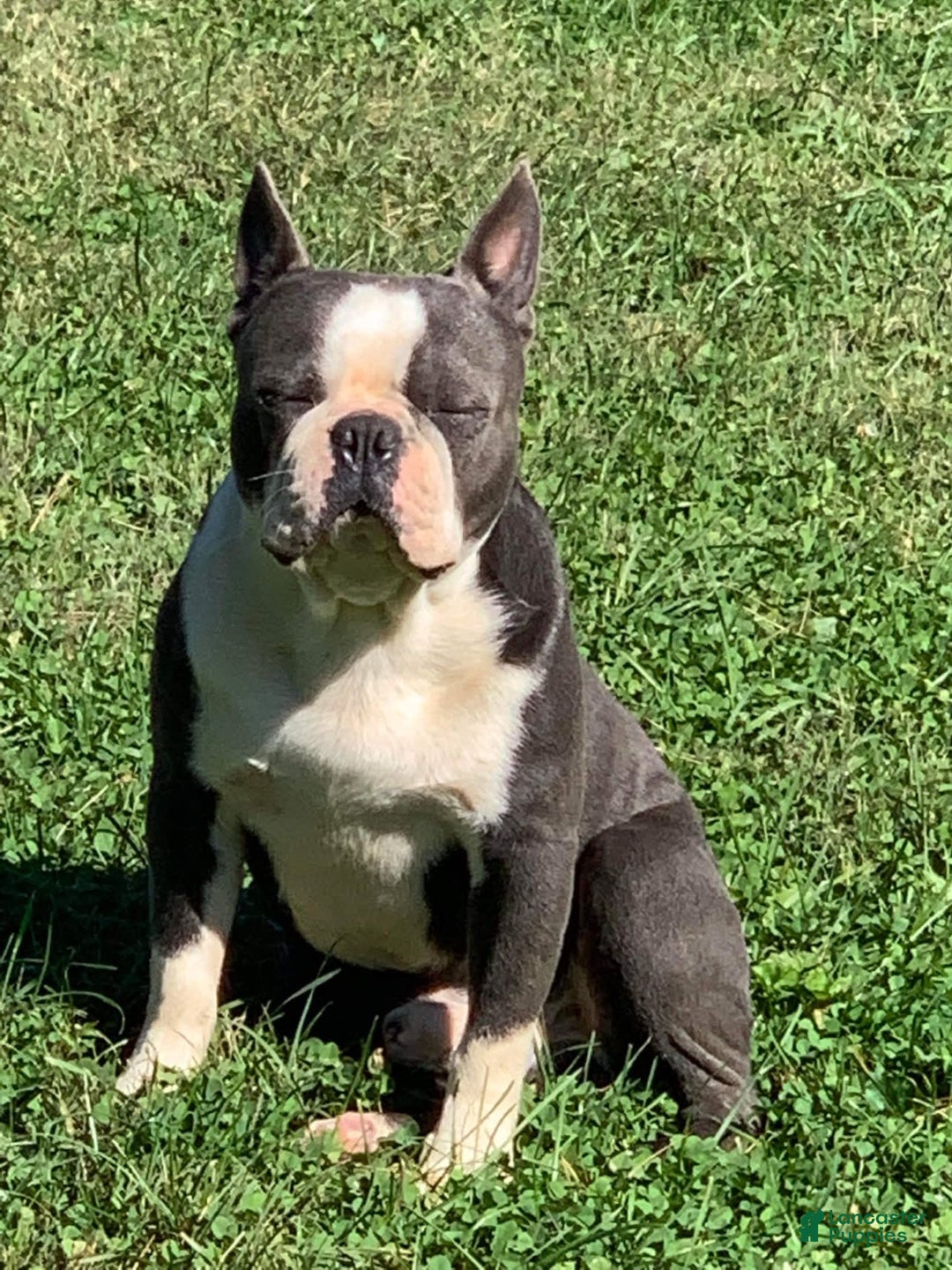 Gallery Image {{count}}