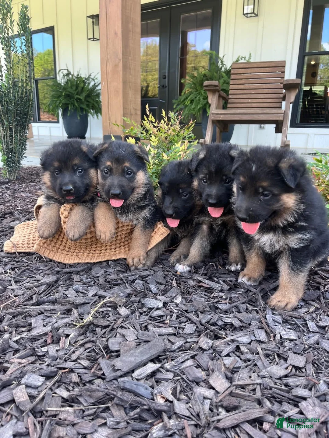 Gallery Image {{count}}