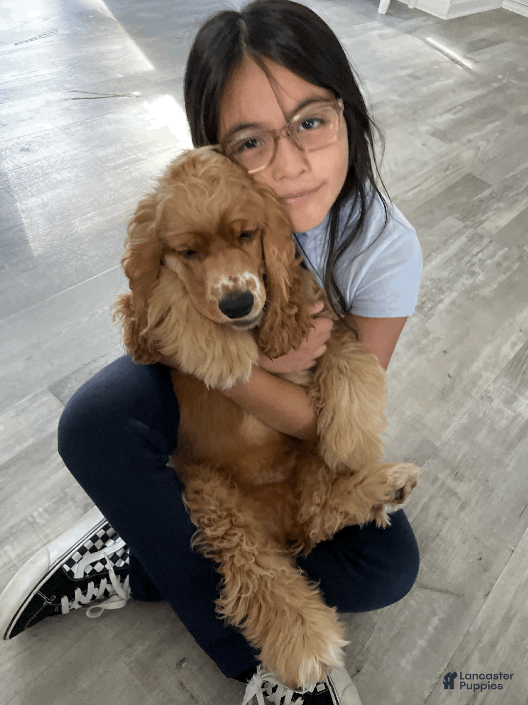 Gallery Image {{count}}