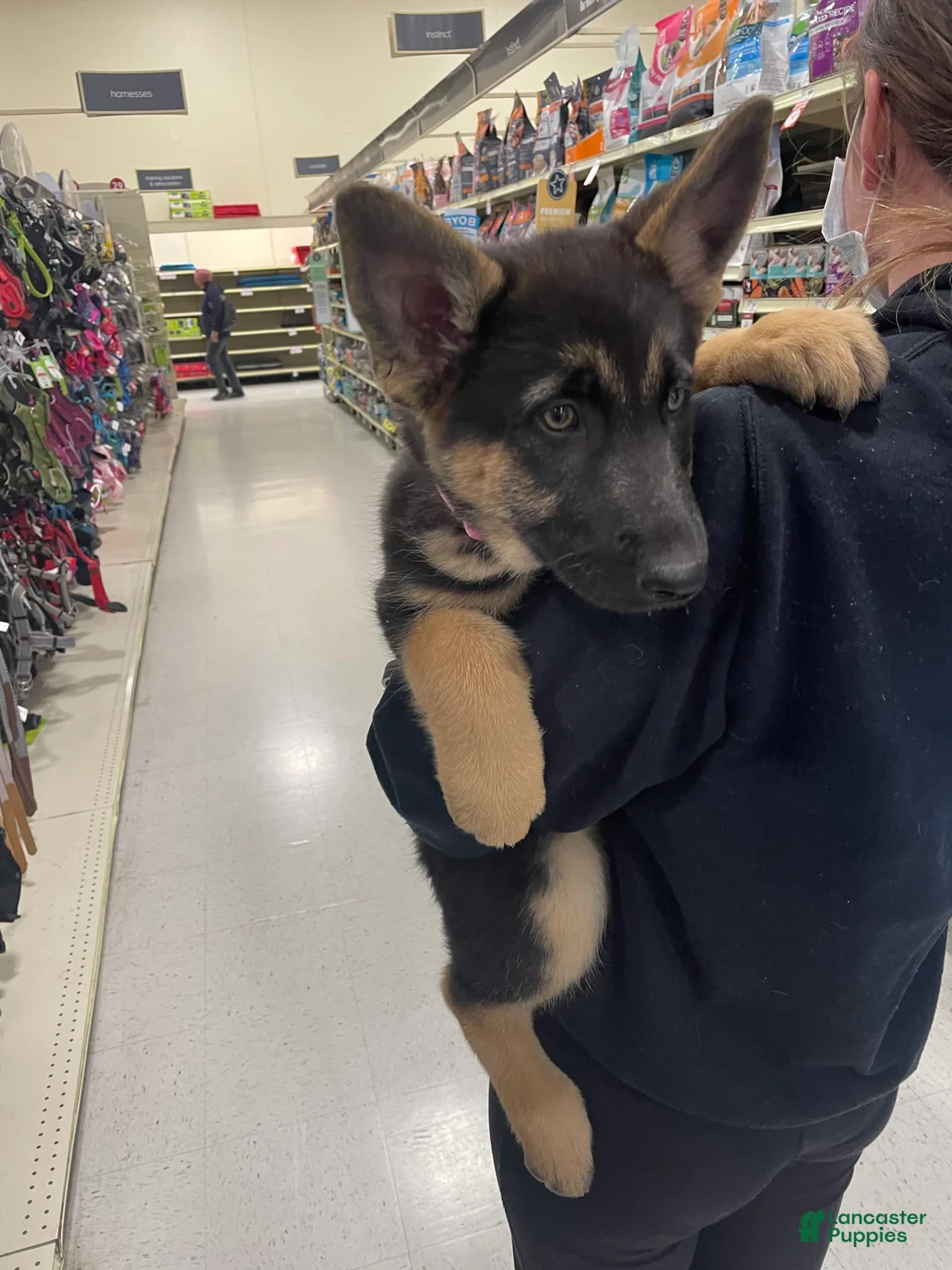 Gallery Image {{count}}