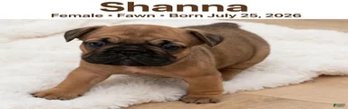 Shanna