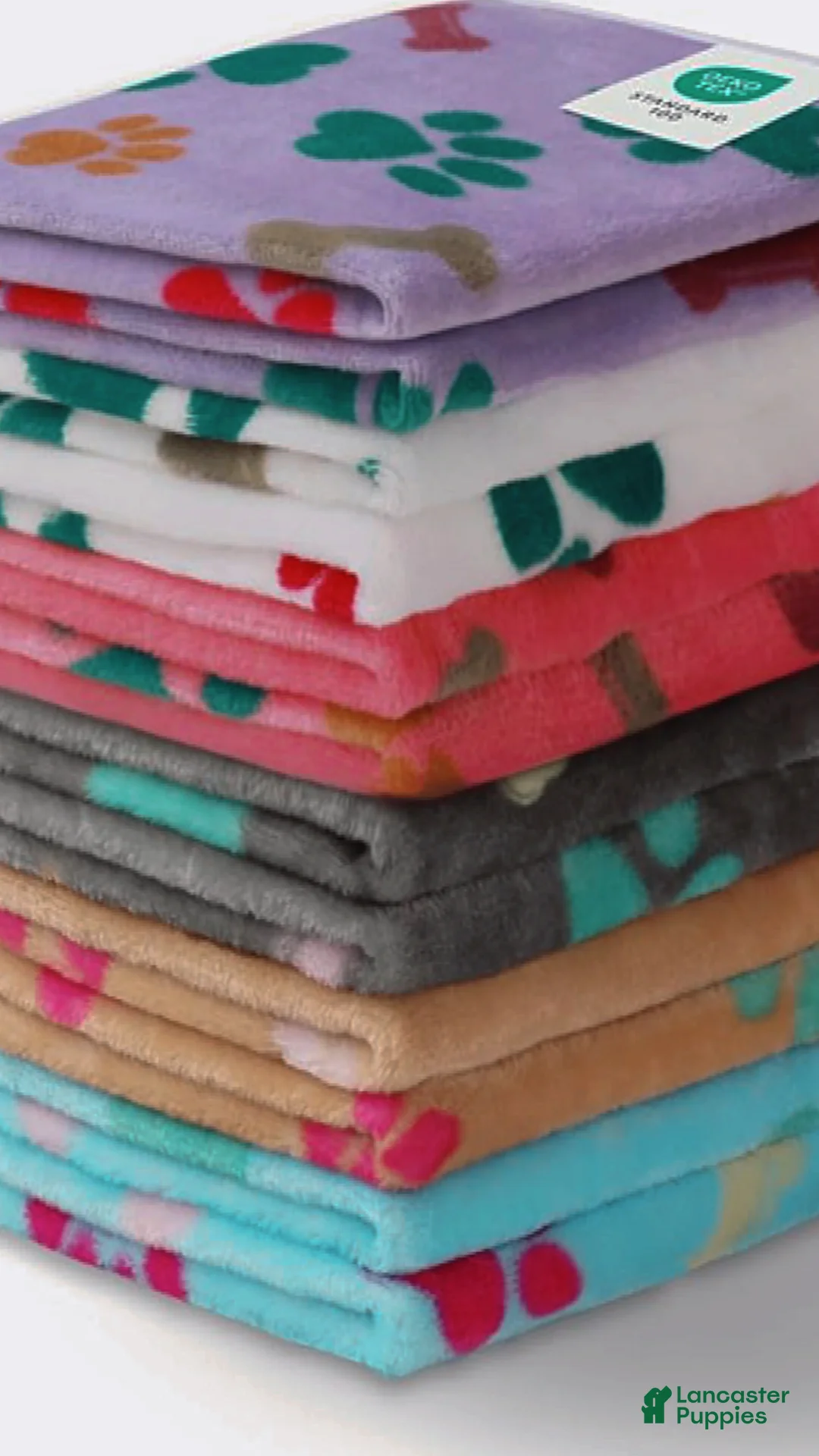 German Shepherd dogs for sale: Storm - Ad 8