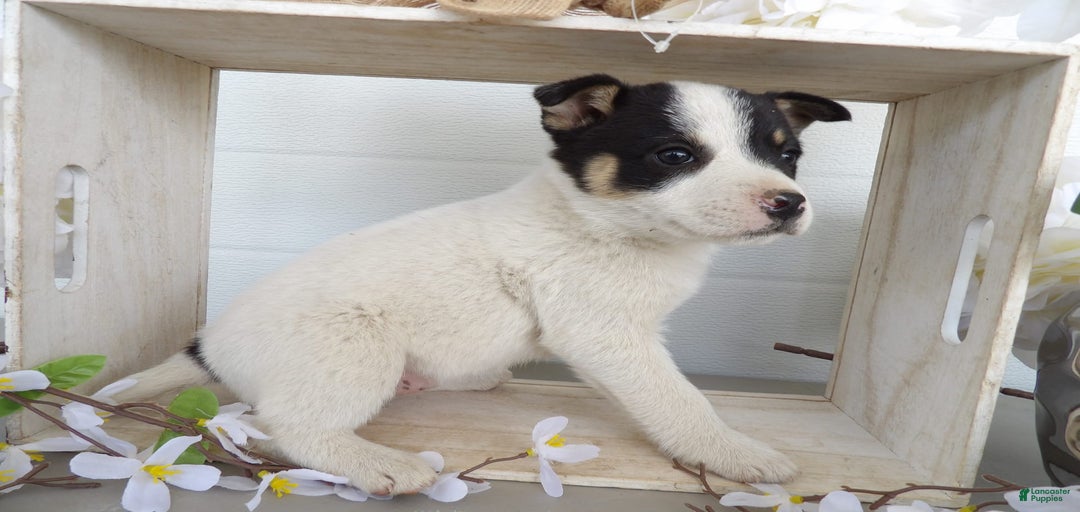 Gallery Image {{count}}