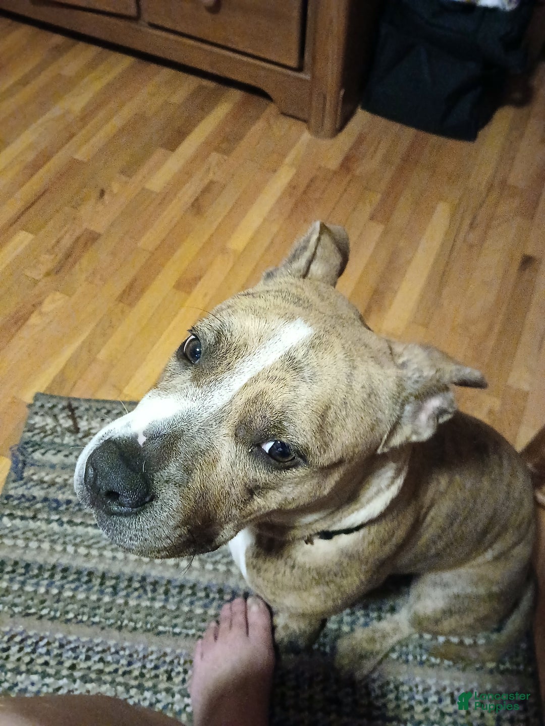 Gallery Image {{count}}