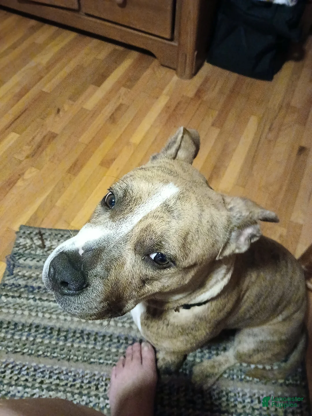 Gallery Image {{count}}