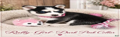 Rally- Dark Pink Collar