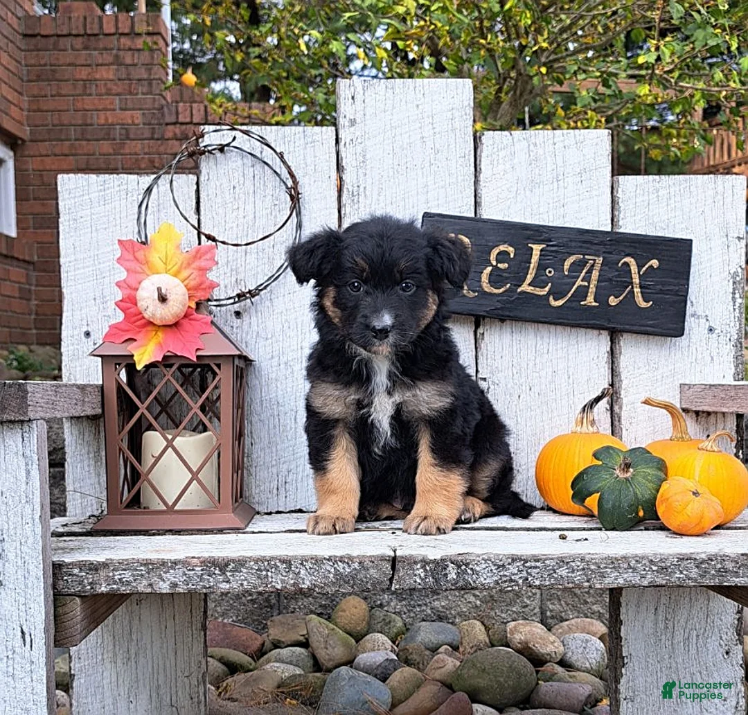 Gallery Image {{count}}