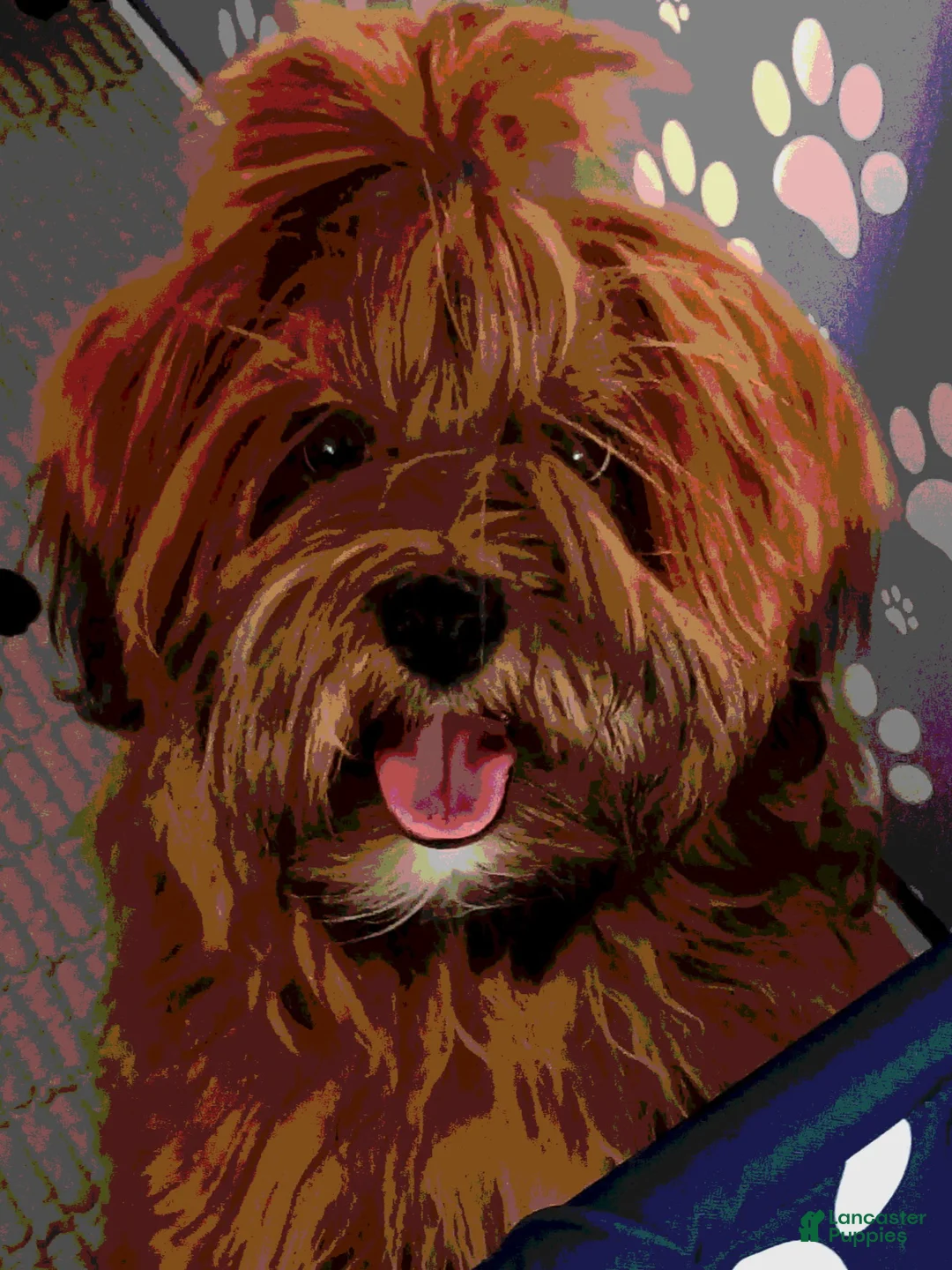 Gallery Image {{count}}