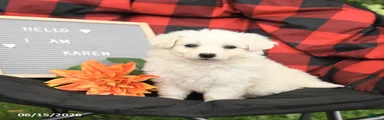 Karen