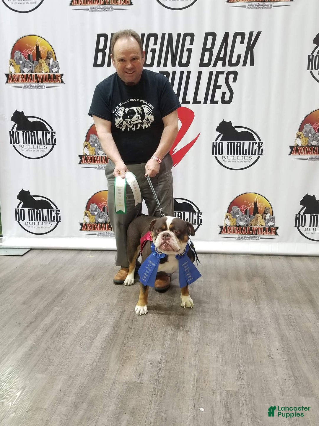 Gallery Image {{count}}