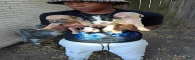 Mixed Breed 11