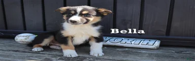 Bella