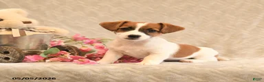 Riley