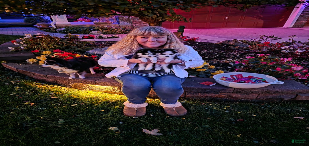 Gallery Image {{count}}