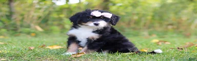 Asia💖