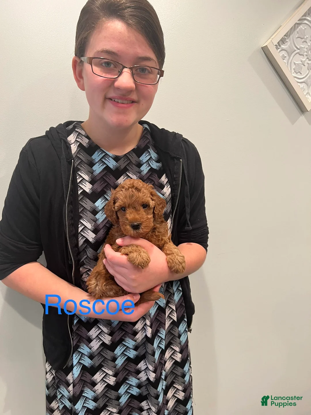 Gallery Image {{count}}